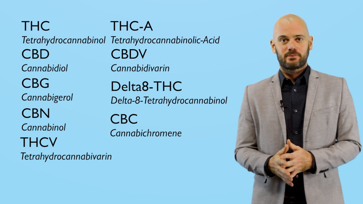 Course Bundle - Trichome Institute Shop