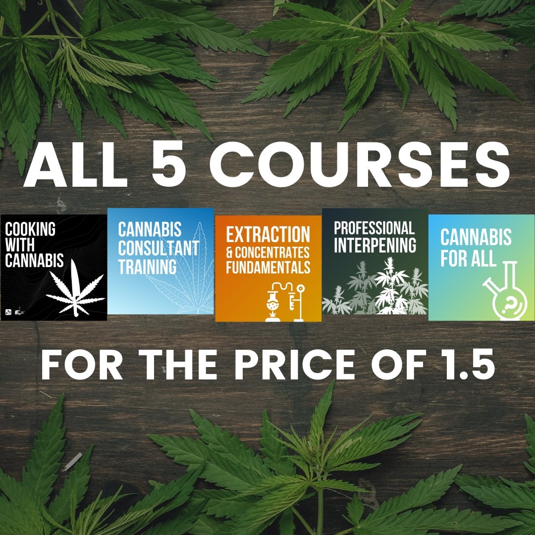Course Bundle - Trichome Institute Shop