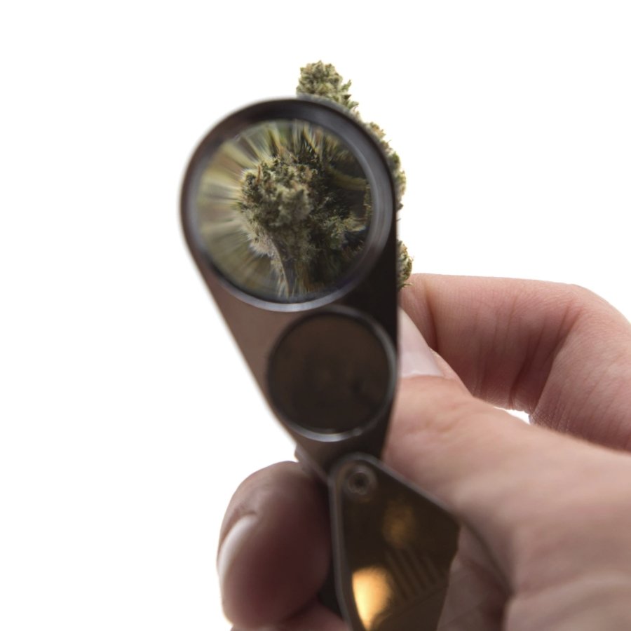 Interpener's UV Magnifier - Trichome Institute Shop