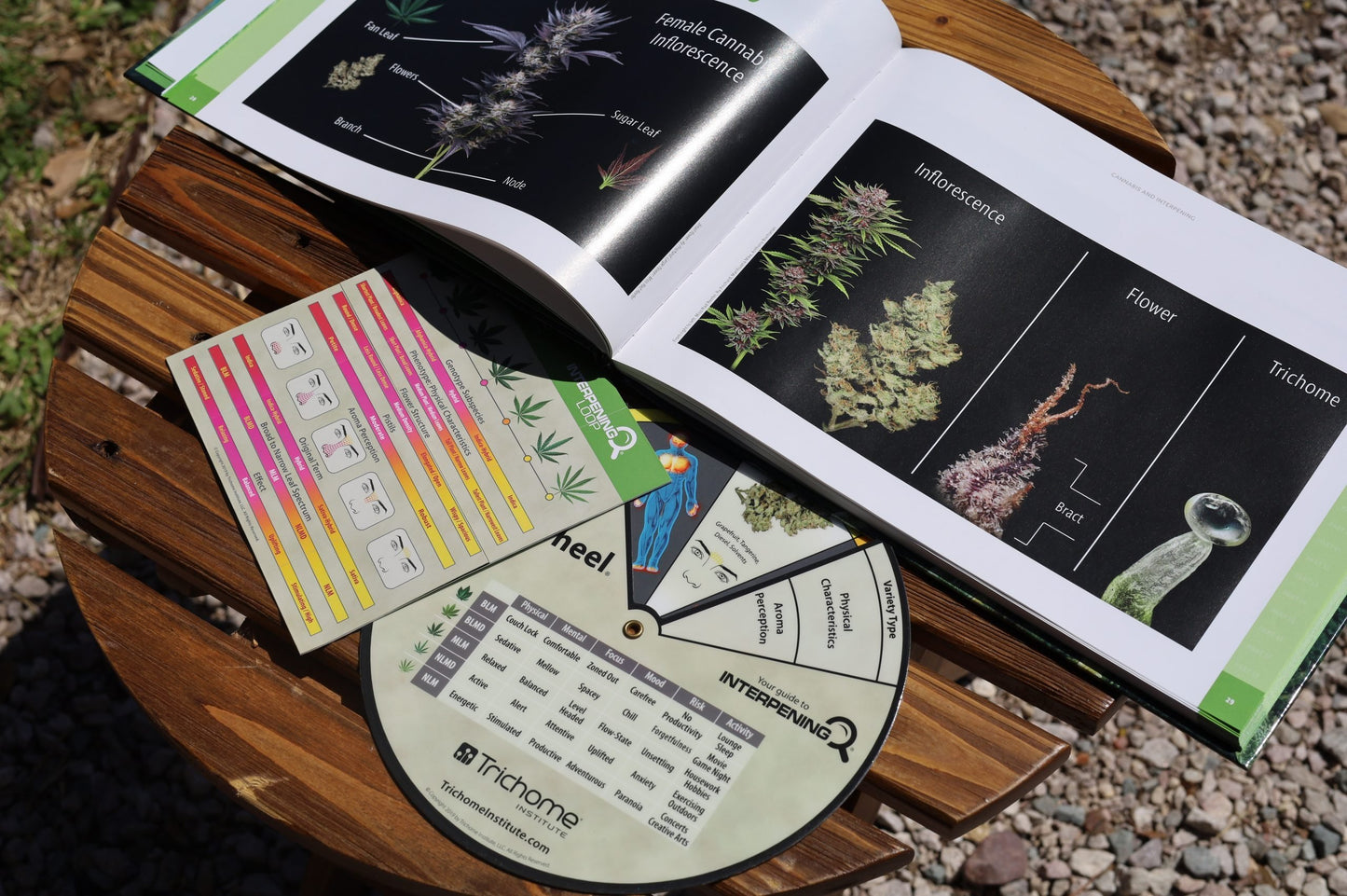 Interpening Course and Tool Bundle - Trichome Institute Shop