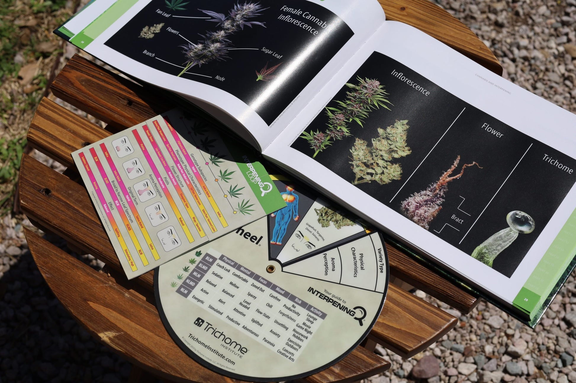 Interpening Course and Tool Bundle - Trichome Institute Shop