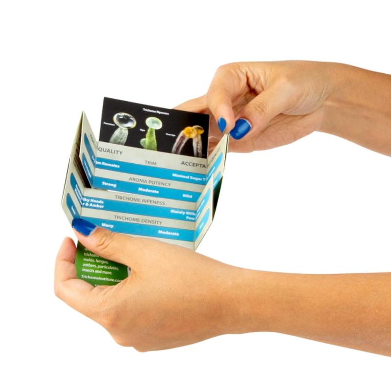 Interpening Course and Tool Bundle - Trichome Institute Shop