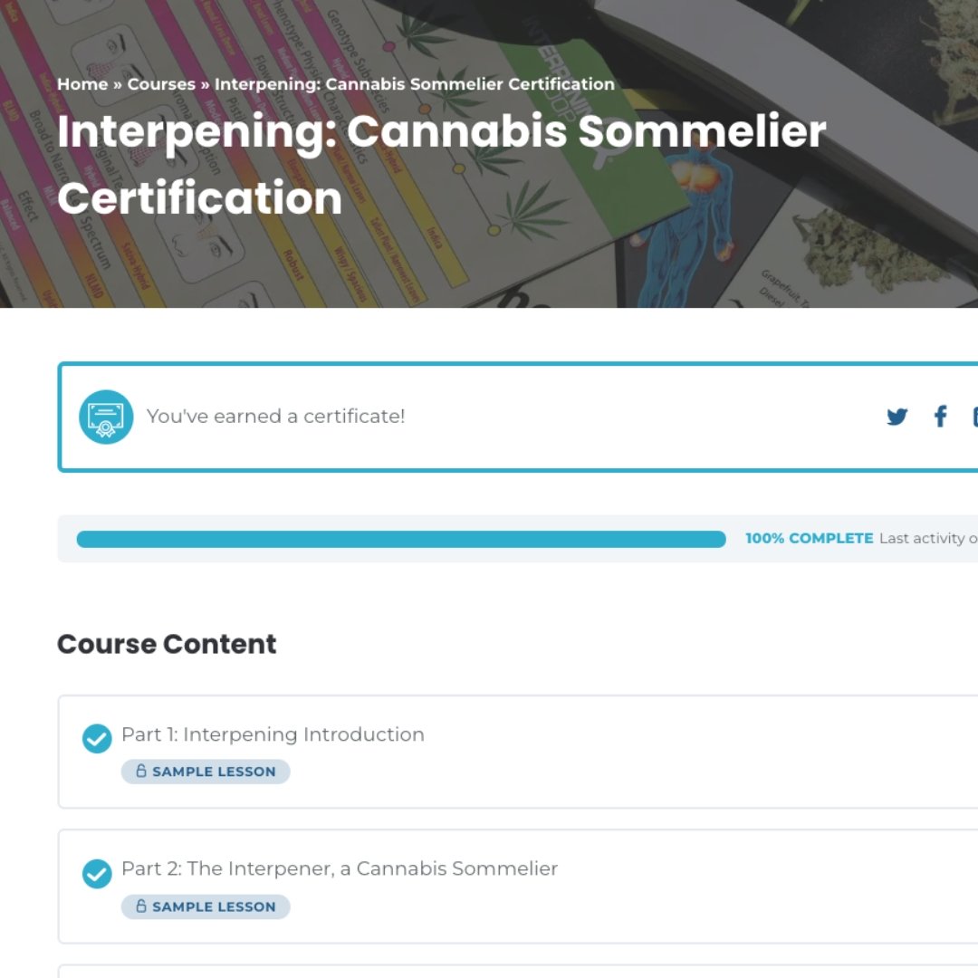 Professional Interpening - Trichome Institute Shop