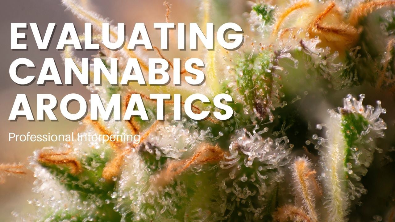 Professional Interpening - Trichome Institute Shop