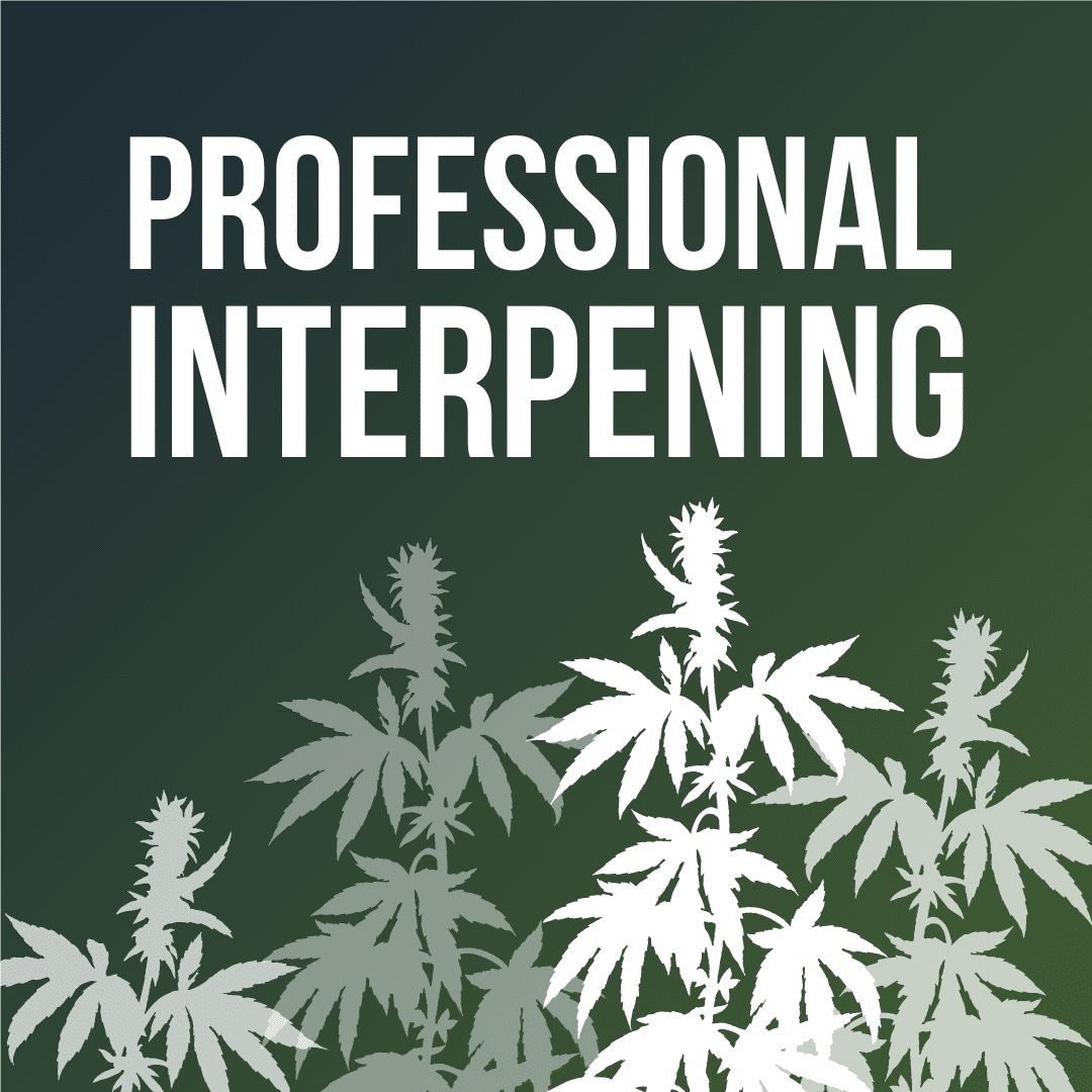 Professional Interpening - Trichome Institute Shop