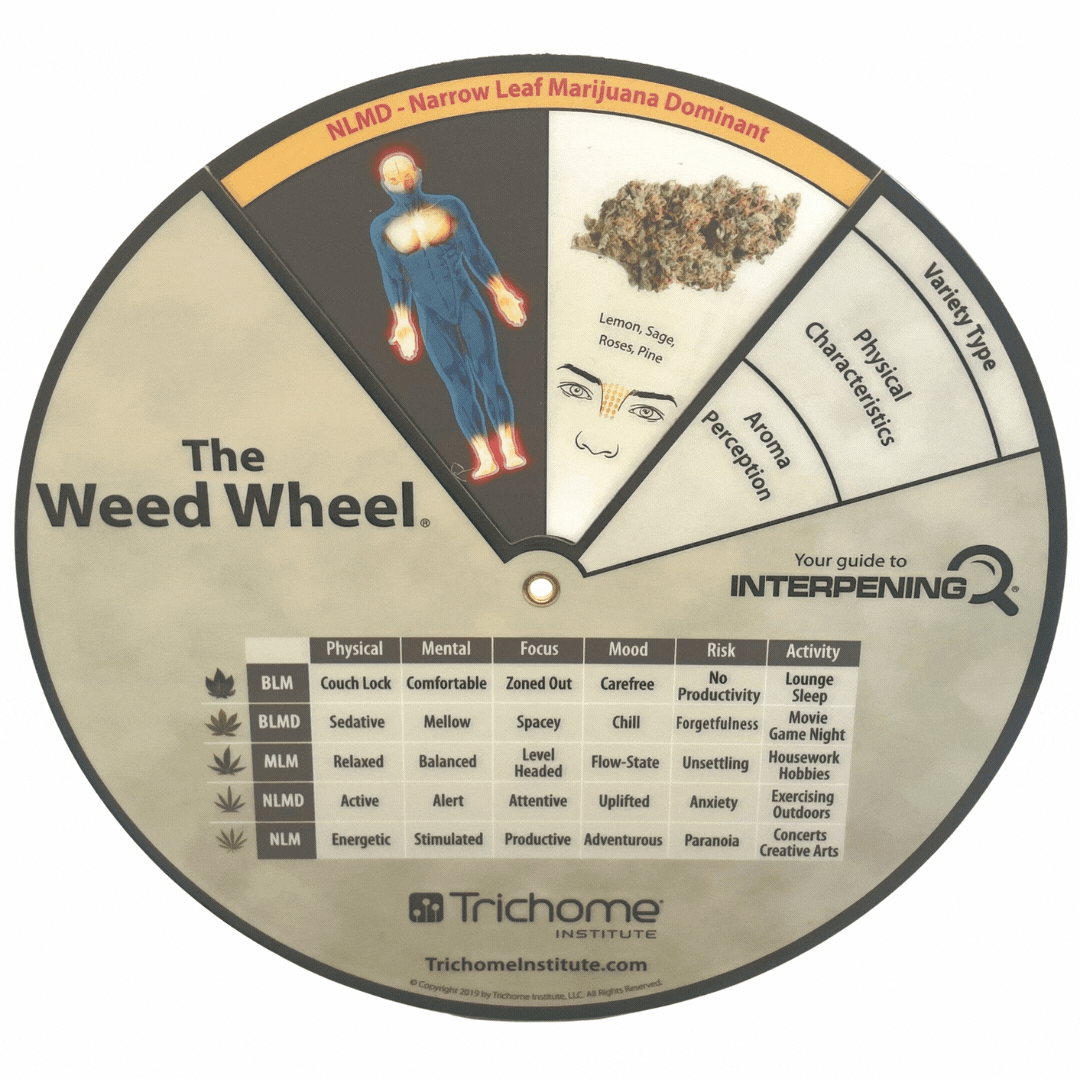 The Weed Wheel® - Trichome Institute Shop